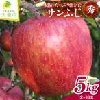 りんご サンふじ 5kg