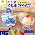 やまがたくだものアイス 12個