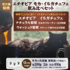 コーヒー豆 200g×2袋