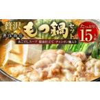 魚住商店の贅沢もつ鍋セット あごだし醤油仕立て