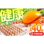 健康育ちの元気卵 40個