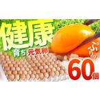 お茶と海藻で健康育ち 元気卵 60個