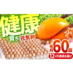 元気卵 60個