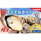 ふるさと納税 岩牡蠣 定期便 2回 1.5kg カキ 岩かき 浜崎水産 熊本県苓北町