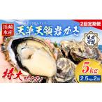 岩牡蠣 定期便 2回 2.5kg