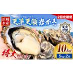 岩牡蠣 定期便 2回 5kg