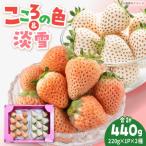 淡雪 こころの色 計440g