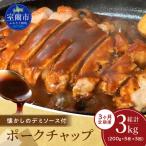 カネカン竹内 ポークチャップ 懐かしの特製デミソース付 20…