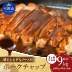 カネカン竹内 ポークチャップ 懐かしの特製デミソース付 20…