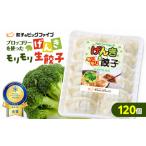 fu.... налог ...mo Limo li сырой гёдза 120 шт K027-010_02 гёдза gyo- The мясо свинина местного производства ежедневное блюдо общий . овощи вок TV ознакомление вся страна рефрижератор овощи Award.. Кагосима префектура Кагосима город 