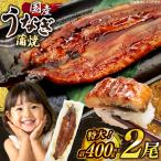 うなぎ 蒲焼 特大 2尾