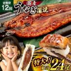 うなぎ 蒲焼 特大 2尾