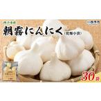 ニンニク 小分け 30袋