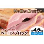 ベーコンブロック 5個