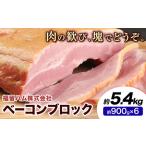 ベーコンブロック 6個