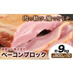 ベーコンブロック 10個