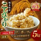 特別栽培米 お米 訳あり こしひかり 白米 5kg