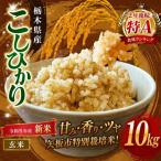 特別栽培米 お米 訳あり こしひかり 白米 5kg×2P