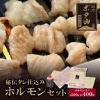 Z05-02 焼肉ボタ山秘伝タレ ホルモンセット