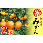 みかん 温州みかん 訳あり 2kg