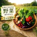 こだわりの新鮮野菜セット 8~11品目
