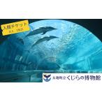 立くじら博物館 入館チケット大人2名分