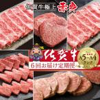n-19 極上 佐賀牛 赤身の定期便 食べ比べ