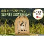 令和7年産 自然栽培米 ヒノヒカリ 白米 3kg