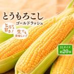 とうもろこし ゴールドラッシュ 富良野産