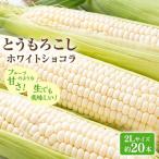 とうもろこしセット 生で食べれる ピュアホワイト