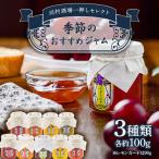 季節の無添加ジャム3本セット みかん レモンカード