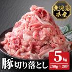 K-618-D 豚切り落とし 真空パック250g×20P 計5kg 肉 豚肉 豚 精肉 切り落とし セット