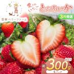 2027年 いちご王国の愛され苺 とちあいか