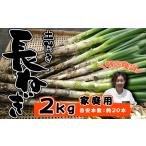 fu.... налог Iwate префектура производство высшее приятный . земля имеется длина лук порей 2kg стандарт количество примерно 20шт.@ для бытового использования [ высота . сельское хозяйство .]| длина лук-батун длина . лук порей лук-батун . белый лук порей белый лук-батун белый . свежий.. Iwate префектура . камень блок 