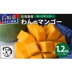 石垣島産マンゴー 約1.2kg前後