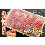 とちぎ和牛の特上カルビ 焼肉用 400g
