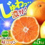 味ロマン みかん5kg CGU001 みかん