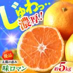 味ロマン みかん5kg CGU002 みかん