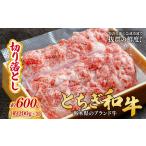 とちぎ和牛の特上カルビ 焼肉用 600g