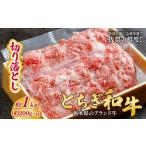 とちぎ和牛の厚切りサーロインステーキ 1kg