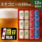 エチゴビール 350ml 12缶 セット