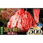 産黒毛和牛切り落とし 500g