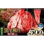 産黒毛和牛切り落とし 500g