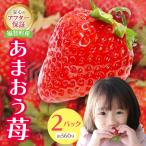 あまおう苺 2パック