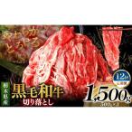 産黒毛和牛切り落とし 1500g