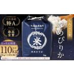 らんこし米 10kg×11回