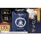 らんこし米 ゆめぴりか 10kg×12回