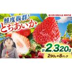 鮮度抜群 いちご とちあいか 290g×8P