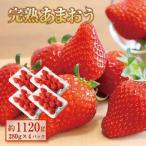 完熟 あまおう イチゴ 280g×4パック