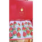 ふるさと納税 いちご 古都華270g×2パック【2026年1月以降お届け】藤井農園 12-124 奈良県奈良市